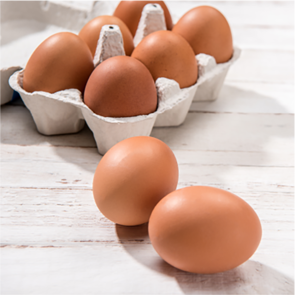 Eggs - Ngee Beng Trading